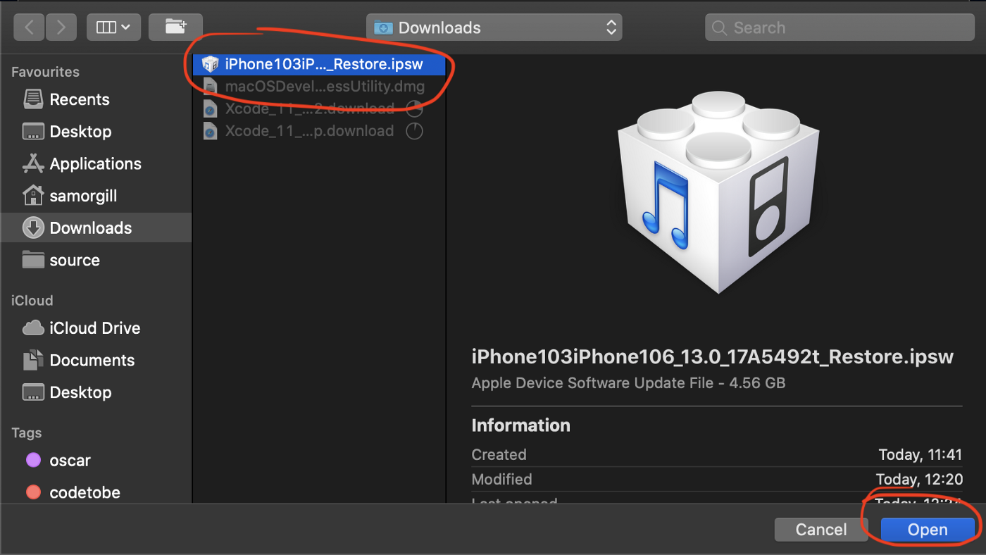 install dmg file on iphone